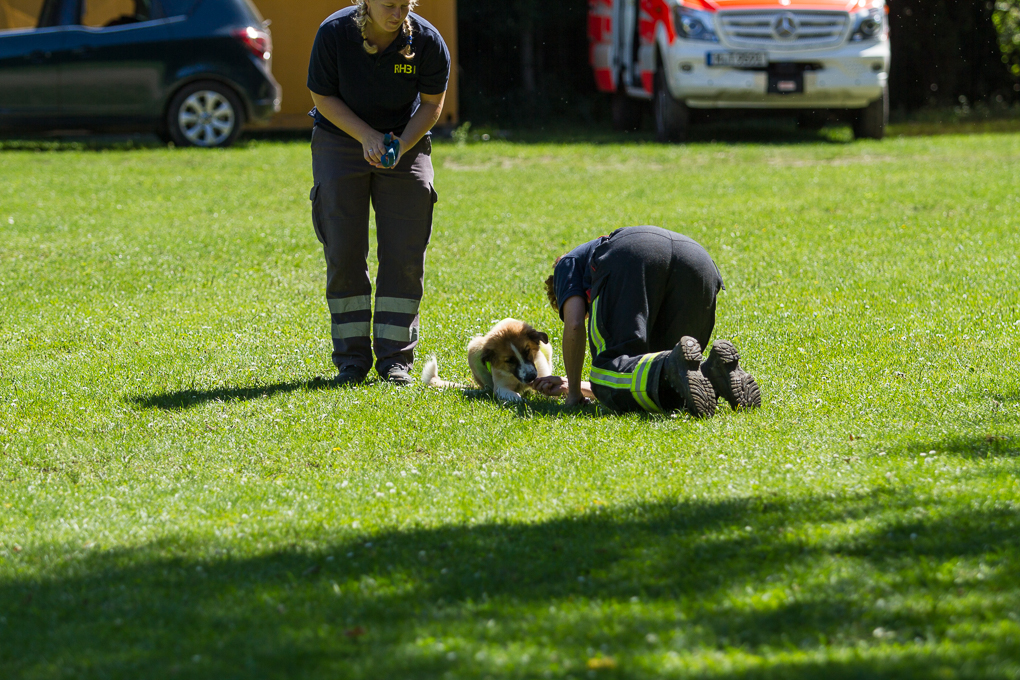 RettungshundestaffelWiesbaden-Trainingstage2017-38