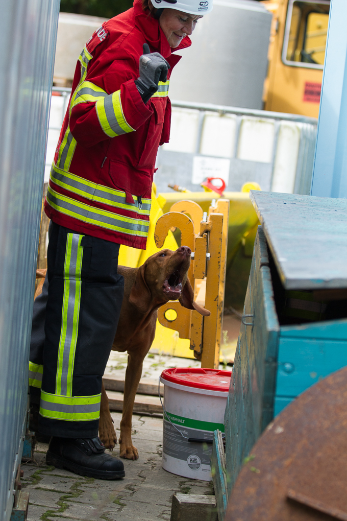 RettungshundestaffelWiesbaden-Trainingstage2017-58