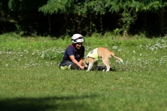 RettungshundestaffelWiesbaden-Trainingstage2017-42