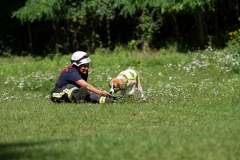 RettungshundestaffelWiesbaden-Trainingstage2017-43