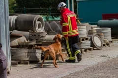 RettungshundestaffelWiesbaden-Trainingstage2017-48
