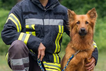 RettungshundestaffelWiesbaden-AnnettePhoebe02