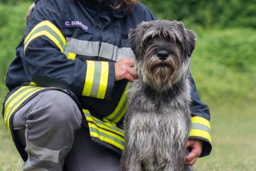 RettungshundestaffelWiesbaden-ChristineScotty02